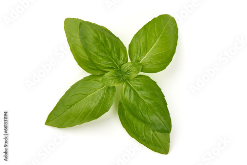 Sweet Basil leaves, fresh condiments, isolated on white background.