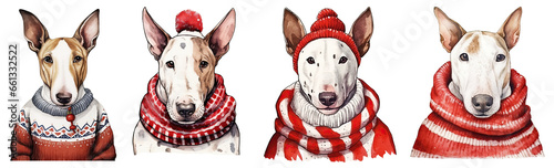 Bull terrier Wearing Funny Traditional Cute Christmas Costume ,Christmas Theme cut out transparent isolated on white background ,PNG file ,artwork graphic design illustration. photo