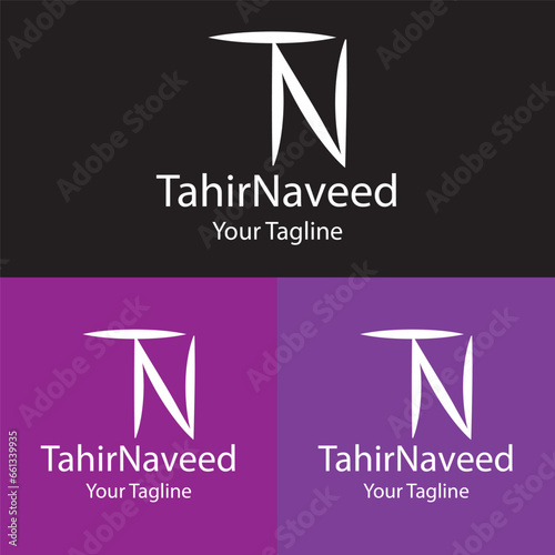 logo design, Business Logo Design, Compane Logo design.TN logo , Lettermark Logo  photo