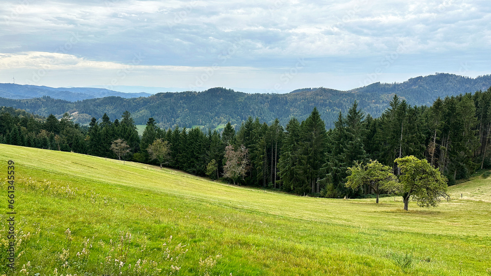 Wandertour im Schwarzwald, wunderschöne Landschaft 