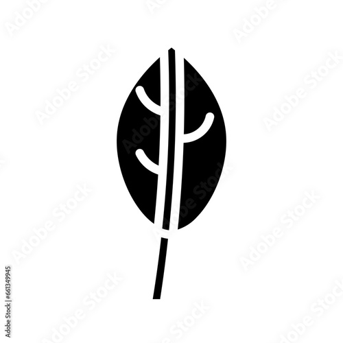 Bay Leaves Spice Icon