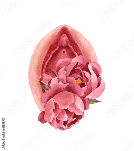 Hand-painted watercolor illustration of Vulva with pink peony flowers. Isolated object on a transparent background. Floral spiritual composition