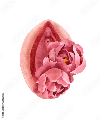 Hand-painted watercolor illustration of Vulva with pink peony flowers. Isolated object on a transparent background. Floral spiritual composition