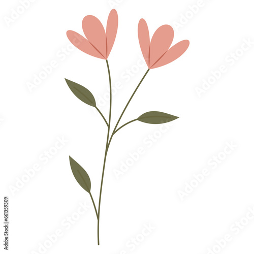 Flower Pink Illustration