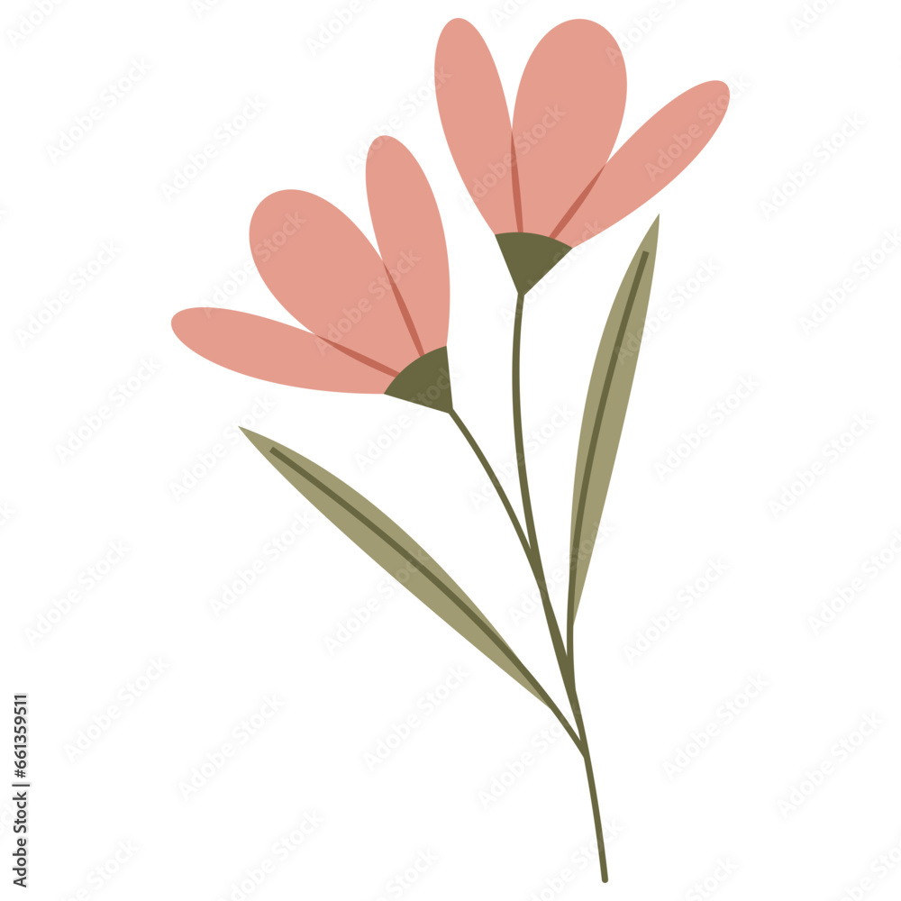 Flower Pink Illustration Flower Pink Illustration