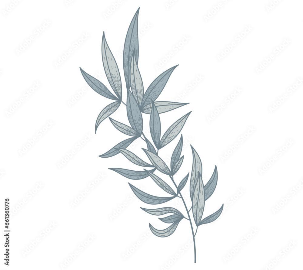 Decorative flat twig with leaves. Vector isolated plant illustration, natural branch, sketch style. Decorative flat twig with leaves. Vector isolated plant illustration, natural branch, sketch style.