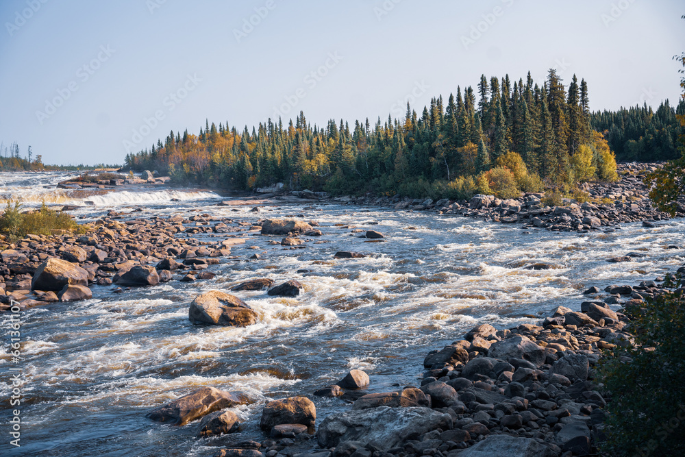 Obraz premium Les magnifiques forêt de la baie James au canada