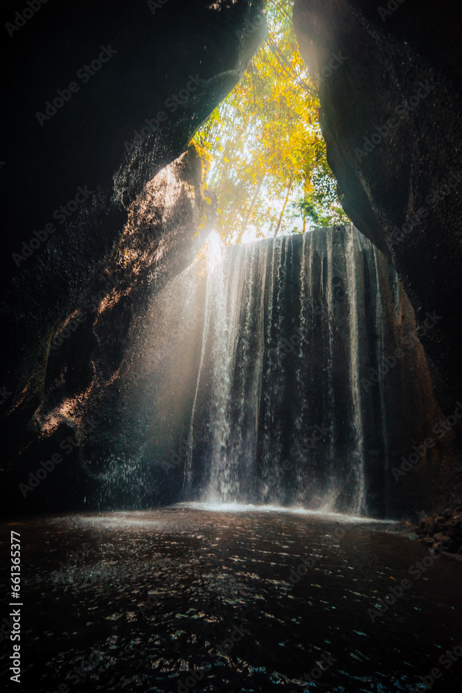 waterfall in the forest