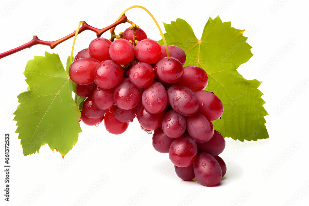 a sprig of red grapes with leaves isolated on white a sprig of red grapes with leaves isolated on white
