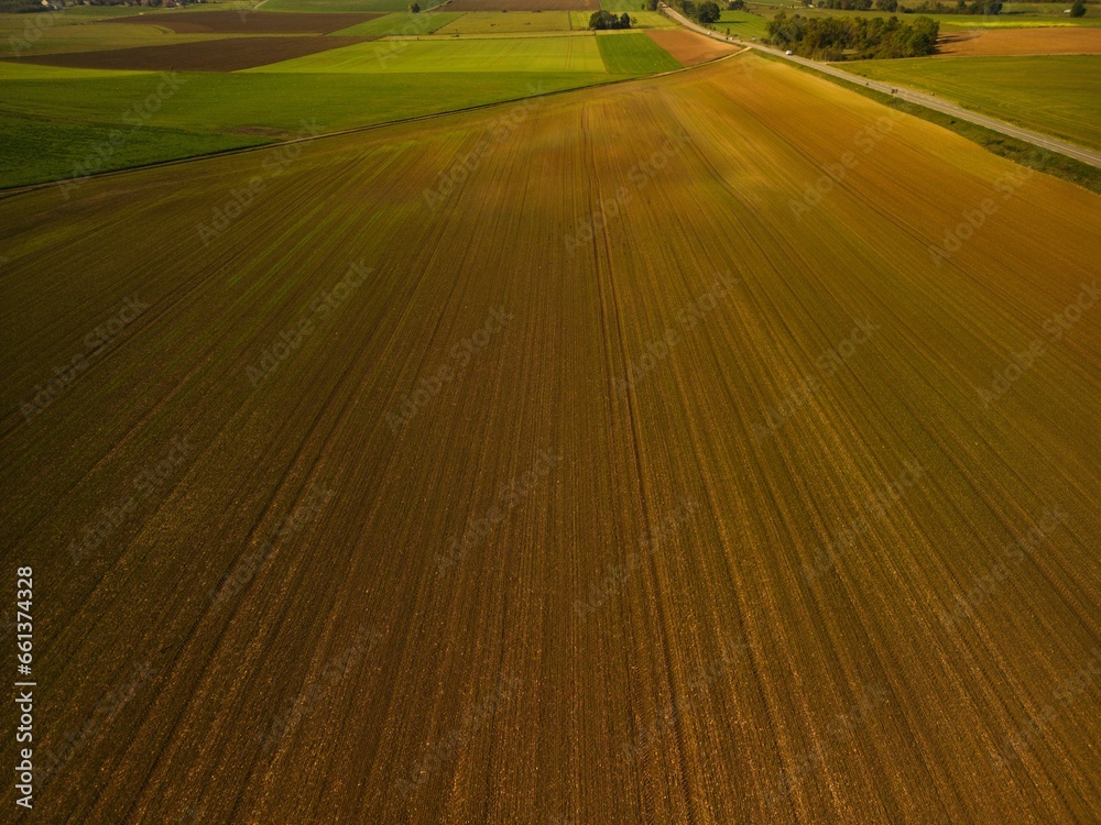 Fototapeta premium a plowed field with a lone tree near by in the background
