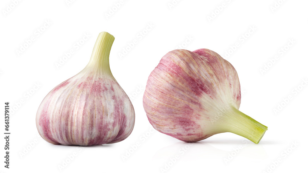 Raw garlic. Purple garlic set. Raw young garlic heads isolated on white
