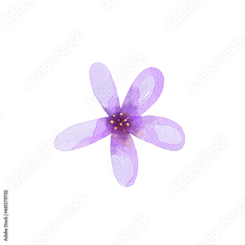 purple mini flower watercolor png isolated transparent background