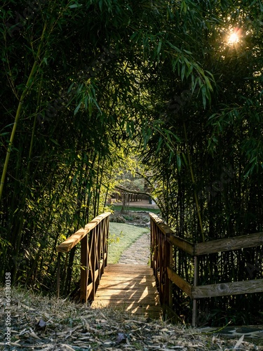Fototapeta Naklejka Na Ścianę i Meble -  Empty wooden bridge in a bamboo forest