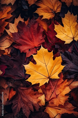 Vibrant Autumn Leaf Tapestry: Nature's Colorful Transition Captured in Detail. Generative AI