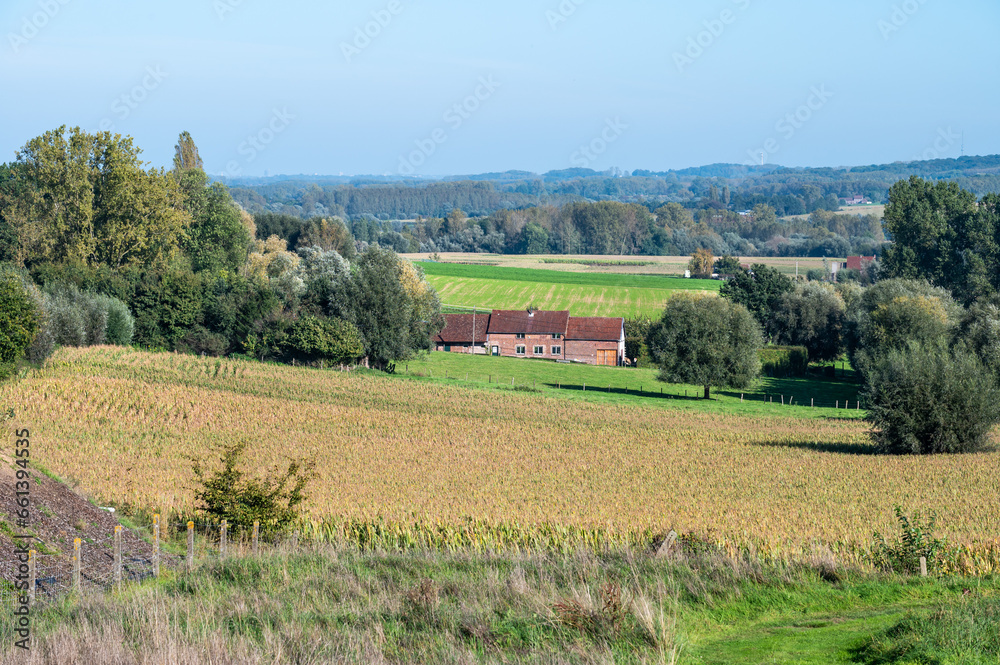 Panoramic view over green hills and agriculture fields at the Flemish countryside around Geraardsbergen, Flanders Region, Belgium
