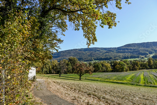 Mariastein, Dorf, Waldweg, Wanderweg, Parkbank, Kloster, Kapelle, Sankt Annakapelle, Herbstlaub, Herbstfarben, Felder, Landwirtschaft, Herbst, Schweiz photo