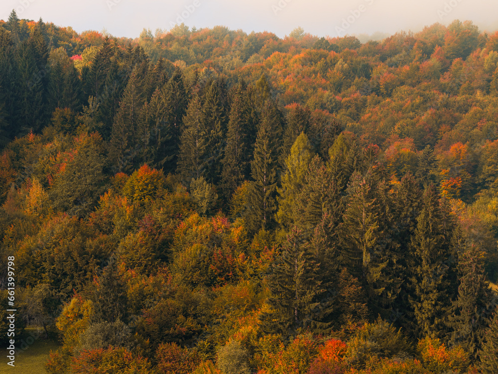 Misty fall Carpathian Mountains fog landscape. Village in Transcarpathia region Foggy spruce pine trees forest scenic view Ukraine, Europe. Autumn countryside Eco Local tourism Recreational activities