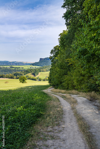 .Amazing landscape of green fields, trees. A path leading into the distance. A mountainous landscape is visible ahead. Saxon Switzerland, Germany, Lilienstei
