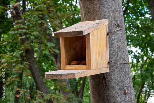 Wooden feeder with nuts for squirrels on a tree trunk in the forest or garden
