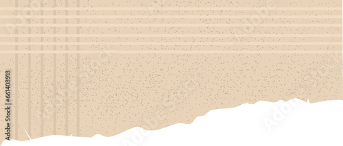 Ripped Paper