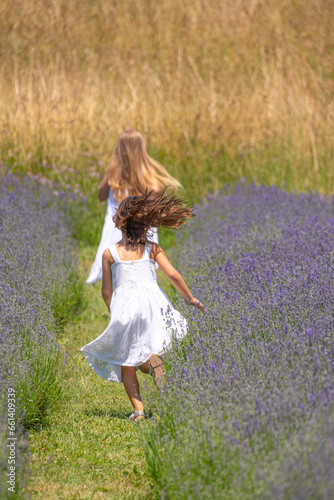 Young girls with long hair running in a lavender field in summer time