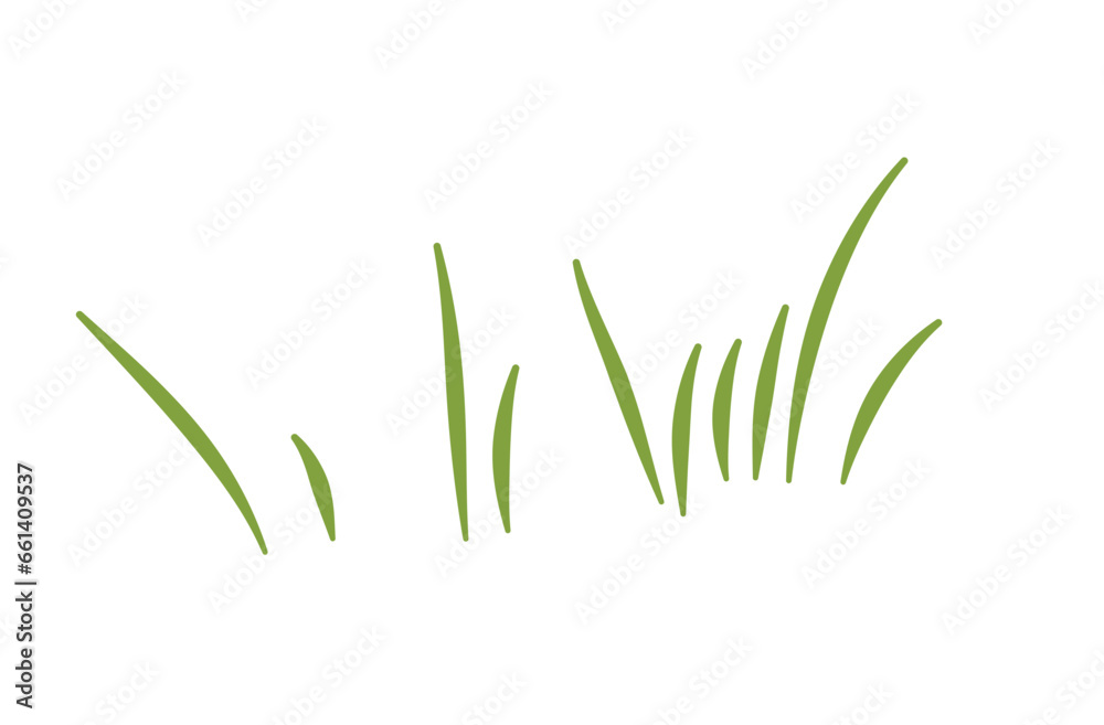 Fototapeta premium Green Grass
