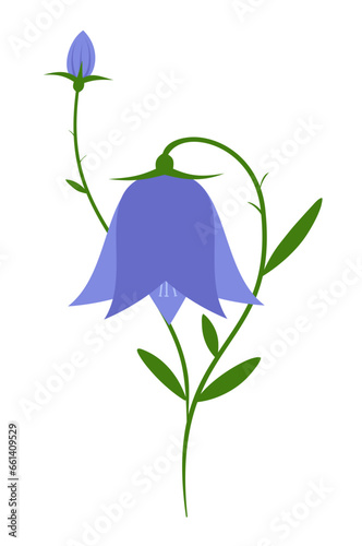 Blue Bells Flowers