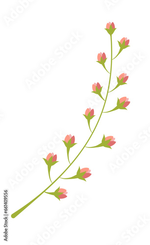 Pinky Spring Flowers