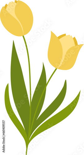 Spring Yellow Tulips