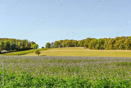 Mariastein, Dorf, Waldweg, Wanderweg, Felder, Landwirtschaft, Weinberg, Kloster, Kapelle, Sankt Annakapelle, Herbstlaub, Herbstfarben, Herbst, Schweiz photo