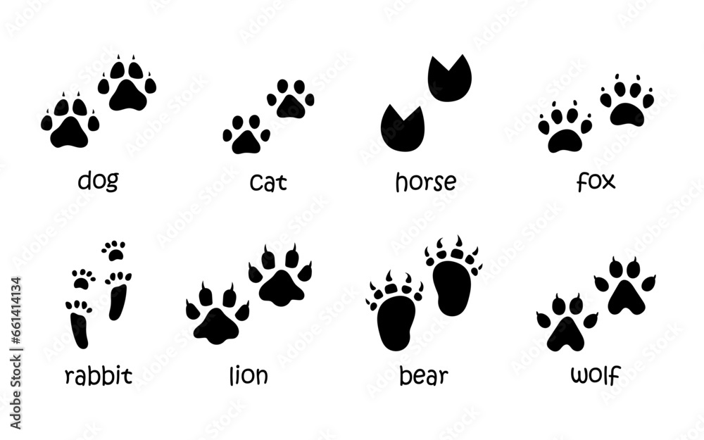 Vector set of animal footprints. Paw tracks in black color. Animal feet silhouette collection of cat, dog, fox, horse, rabbit, lion, bear and wolf prints. - obrazy, fototapety, plakaty 