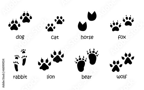 Vector set of animal footprints. Paw tracks in black color. Animal feet silhouette collection of cat, dog, fox, horse, rabbit, lion, bear and wolf prints. © Ulyana Mo