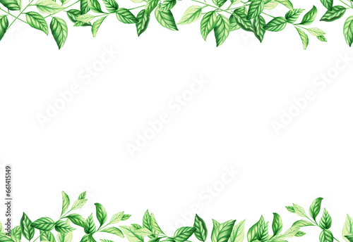 Watercolor seamless border and frame with fresh peppermint leaves isolated on white background. Detail of the beauty products and botany set, cosmetology and medicine. For designers, spa 