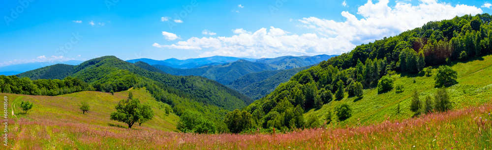 panorama over green hills, Calugaru hills, Cindrel mountains, Sibiu county, Romania