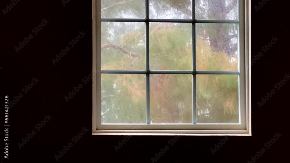 Rainy day view through house window
