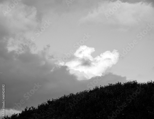 Black and White Beautiful sky background