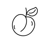 Hand drawn line peach, apricot fruit outline icon vector doodle illustration, suitable for coloring book, logo, illustration, sticker, cover