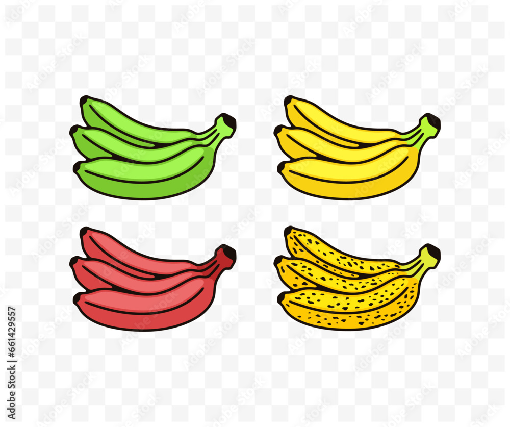 Bunch of bananas, green, yellow, red, spotted or spoiling, colored graphic design. Fruit, fruity, food, meal, nourishment and nature, vector design and illustration