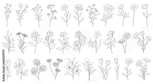 Vector Floral Drawing Set Isolated On A White Background.
