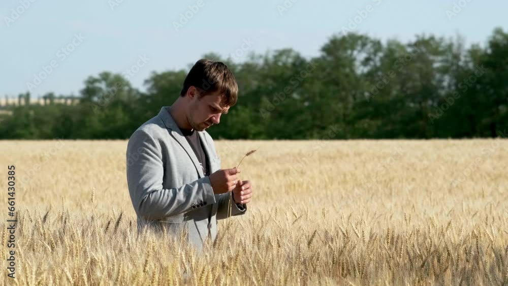 An agronomist farmer grows wheat in a field. Eco-cultural farm. Senior farmer, business owner checking organic crops An agronomist farmer grows wheat in a field. Eco-cultural farm. Senior farmer, business owner checking organic crops