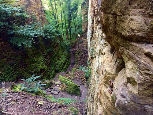 Die Wollefsschlucht – Wolfsschlucht – bei Echternach in Luxemburg, eines der spektakulärsten Naturdenkmäler der Kleinen Luxemburger Schweiz mit bis zu 50 Meter aufragenden Felswänden . photo