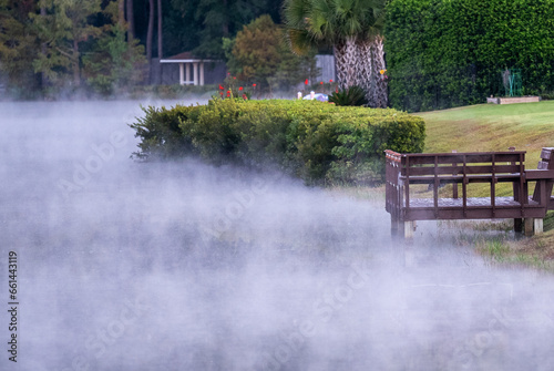 Foggy Dock