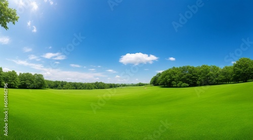 landscape with green grass and trees  landscape with grass and sky  field and sky  panoramic view off green grass field