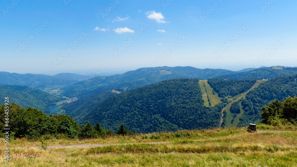 Paysage estival dans les montagnes des Vosges