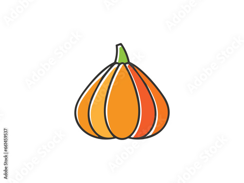 pumpkin flat icon vector , halooween pumpkin	
 photo