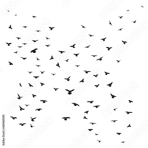 Sketch drawing of a silhouette of a flock of birds flying forward. Takeoff  flying  flight  flutter  hover  soaring  landing