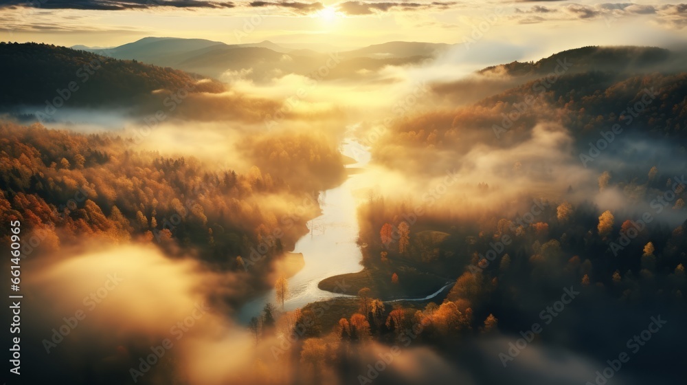 An aerial view of the forest with the sun behind the mist all around, colored autumnal trees in the morning light.