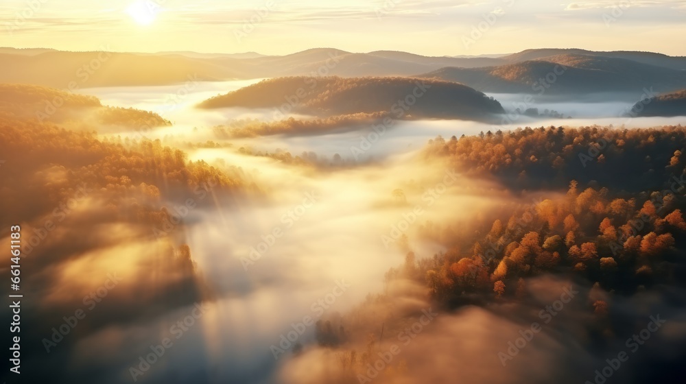 An aerial view of the forest with the sun behind the mist all around, colored autumnal trees in the morning light.