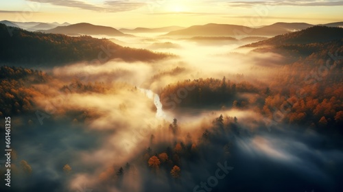 An aerial view of the forest with the sun behind the mist all around, colored autumnal trees in the morning light. © ND STOCK
