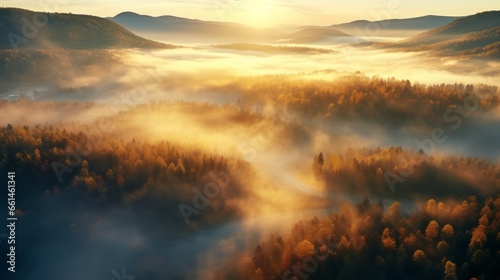 An aerial view of the forest with the sun behind the mist all around, colored autumnal trees in the morning light.